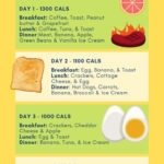 Printable 3 Day Diet Menu FREE Printables