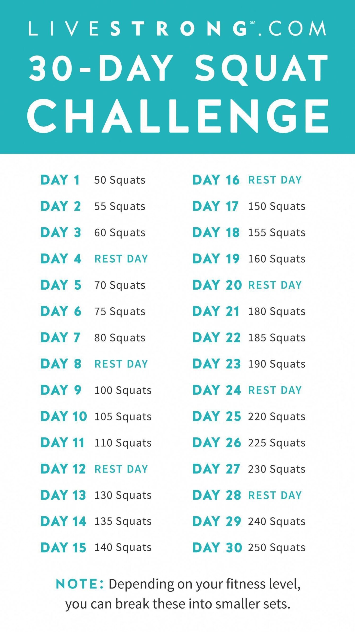 30 Day Squat Challenge Printable Dev onallcylinders