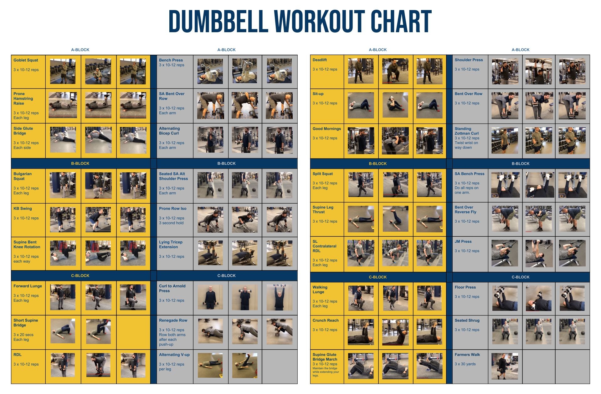 Free Dumbbell Workout Chart Pdf EOUA Blog