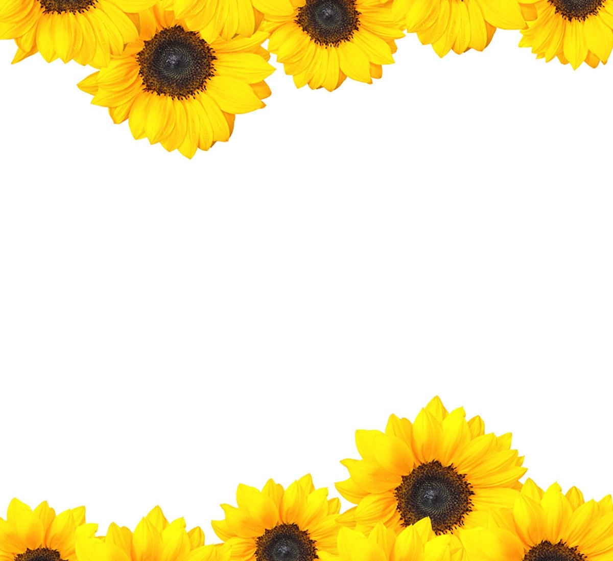Free Sunflower Invitation Template Templates Printable Download