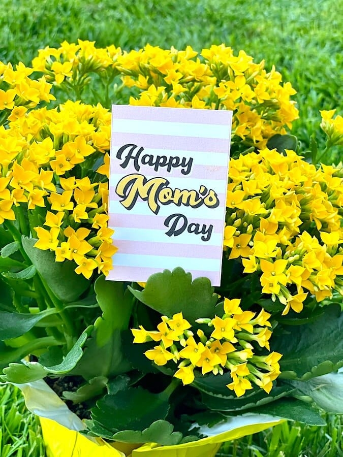 Happy Mother 39 s Day Tags 18 Free Printable Gift Tags