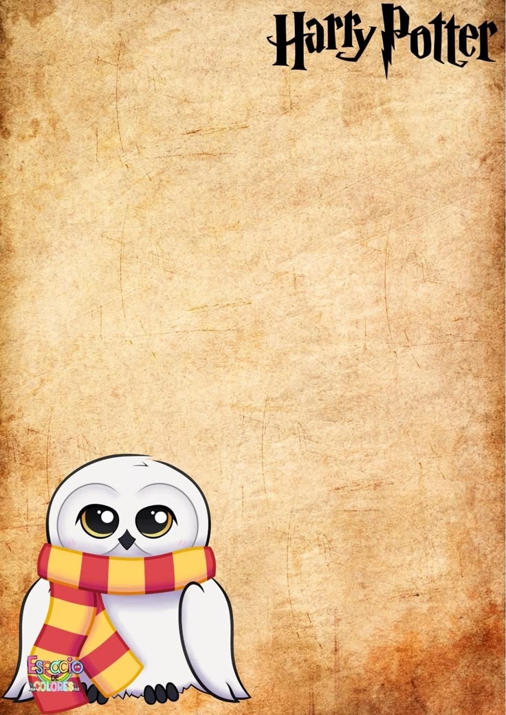Pin By Maestra Anita On Decoraci n Harry Potter Harry Potter 