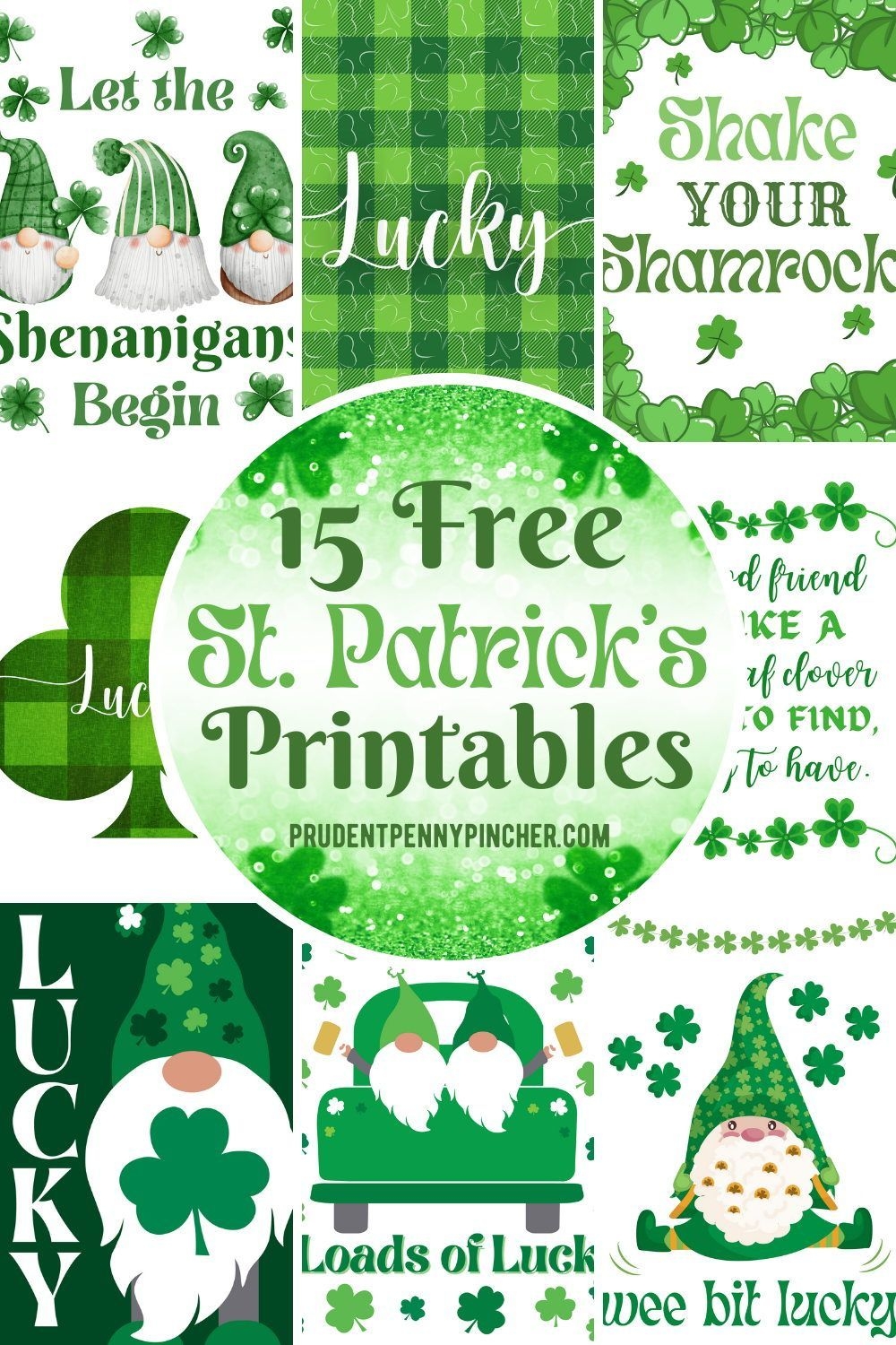 Pin On St Patty 39 s Day