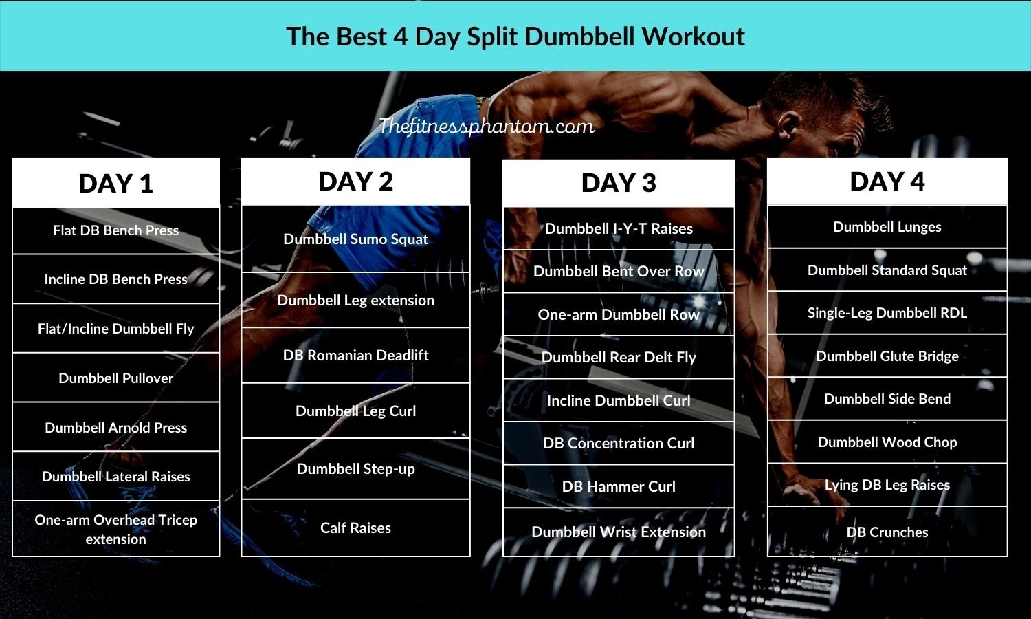 Printable Dumbbell Workout Plan Pdf Hot Sale Fabricadascasas